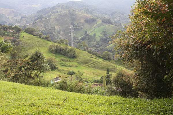 lote campestre en los alamos