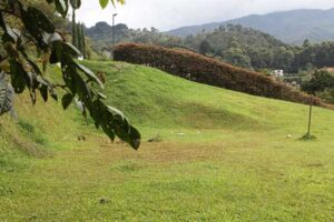 Lote para la venta en alamos del escobero