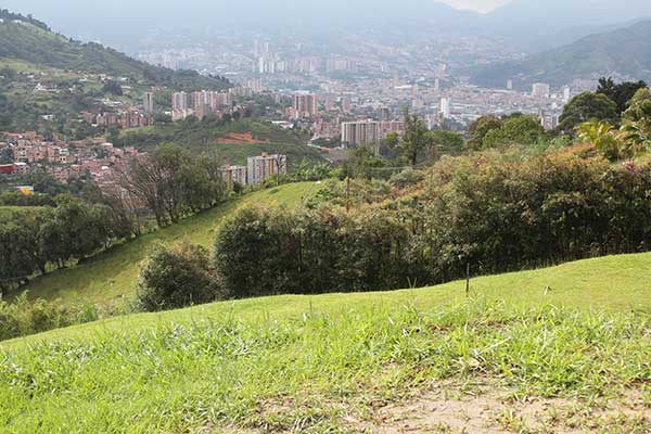 lote alamos del escobero