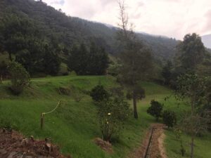 lotes con vista a verde