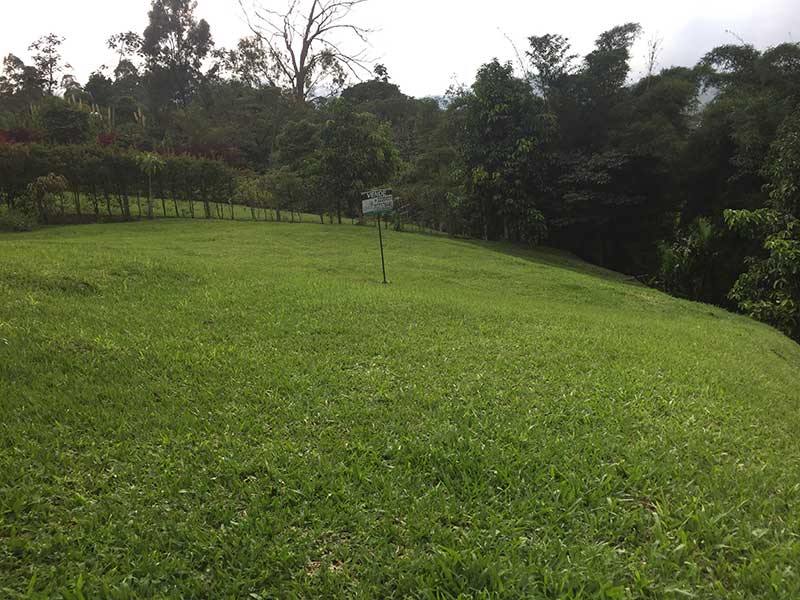 lotes campestres en lorien envigado