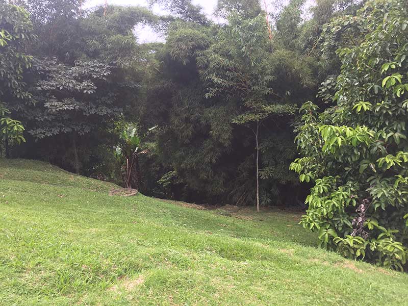 lorien escobero envigado