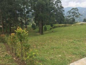 lote campestre en cerrovento