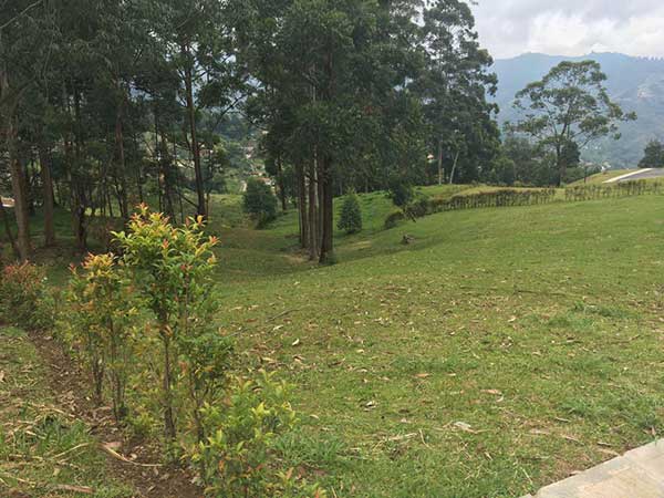 lote campestre en cerrovento