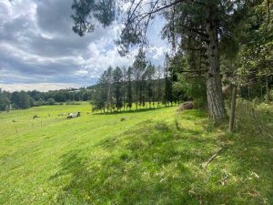 lote plano