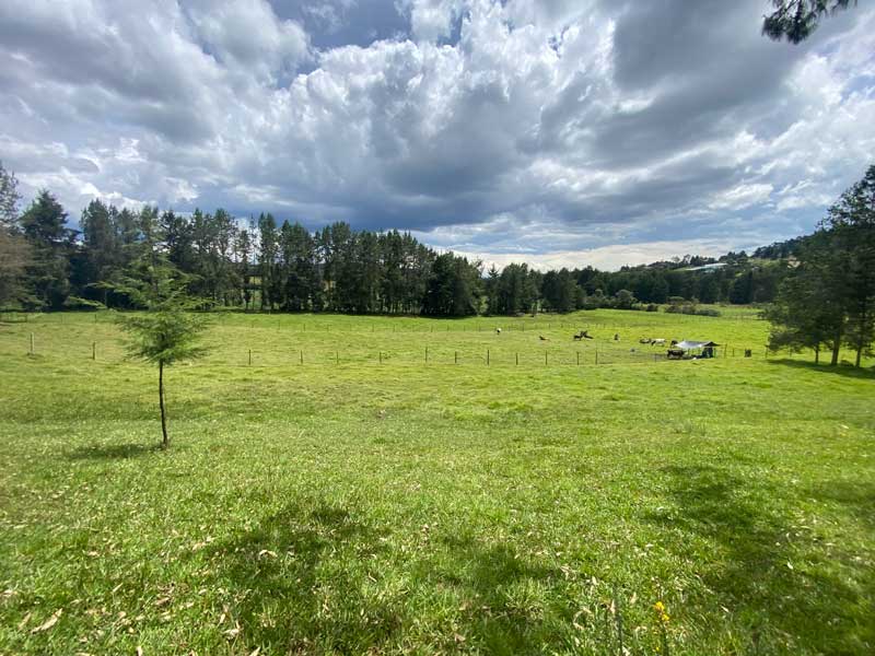 lote para caballeriza