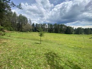 lote en la variante de palmas