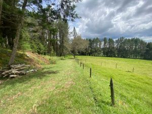 lote plano hermoso