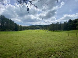 lote en envigado