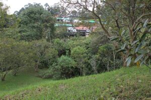lote con visa a verde