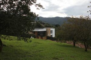 lotes economicos