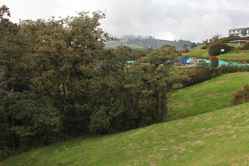 lote economico en el alto de las palmas