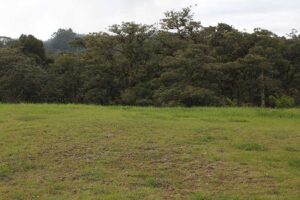 lote campestre por indiana