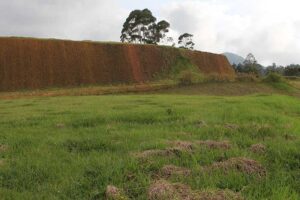 lote por la acuarela