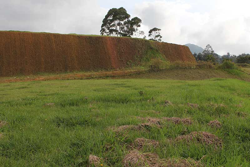 lote por la acuarela