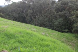 lote campestre por la acuarela