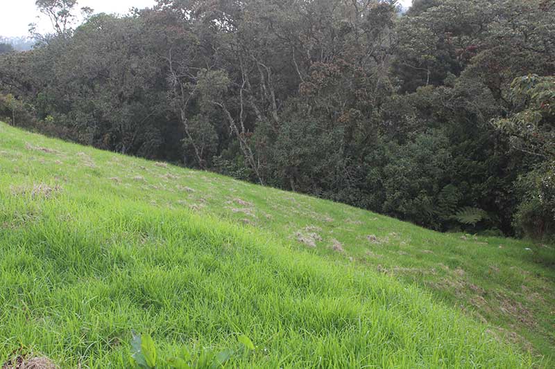 lote campestre por la acuarela