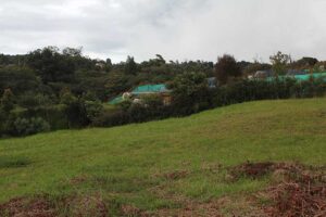 lote en el alto de las palmas