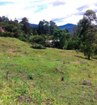 Lote en via los balsos