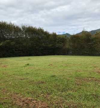 lote en Jardines de Fizebad