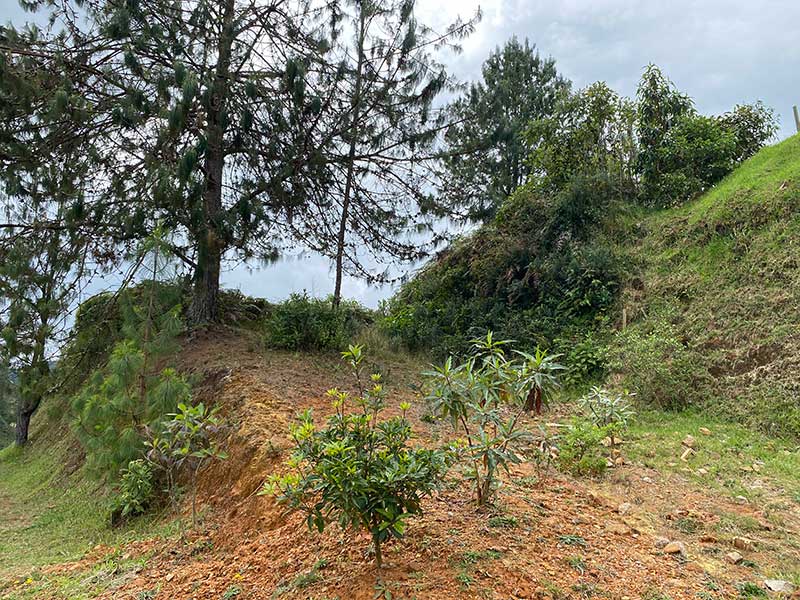 terrenos en venta campestre envigado