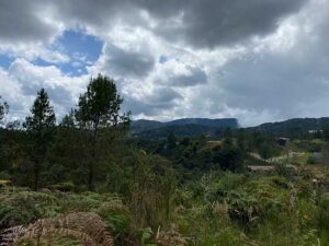 en parcelacion campestre lote en venta envigado