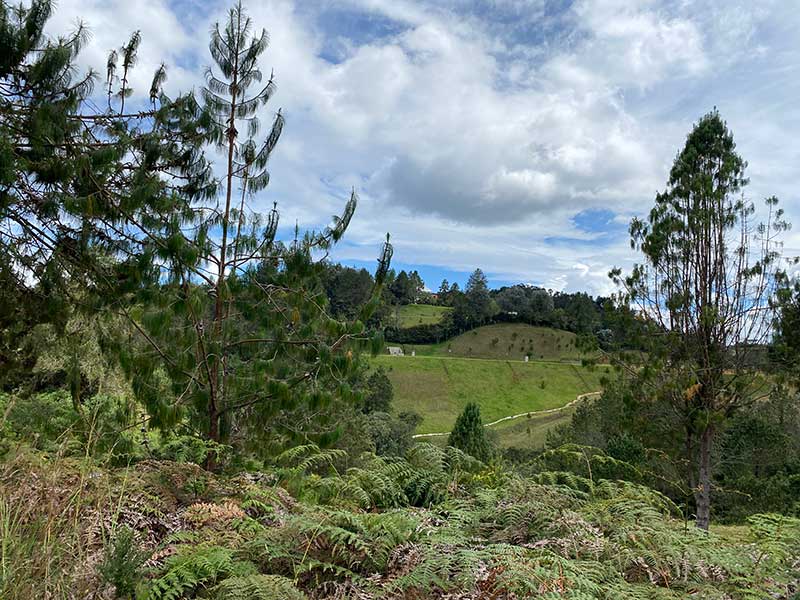 lote en parcelacion campestre envigado