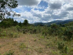 parcelacion campestre envigado