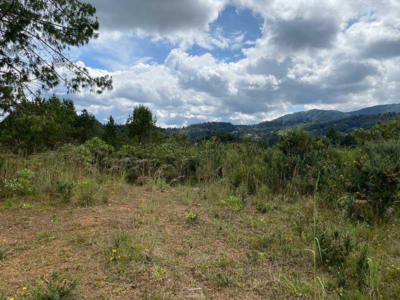 parcelacion campestre envigado