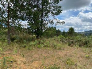 lote en condominio campestre