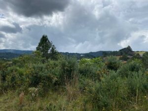 terrenos en venta campestres en envigado