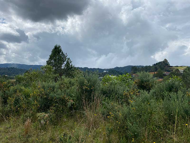 terrenos en venta campestres en envigado