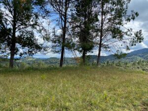 lote en condominio campestre el escobero