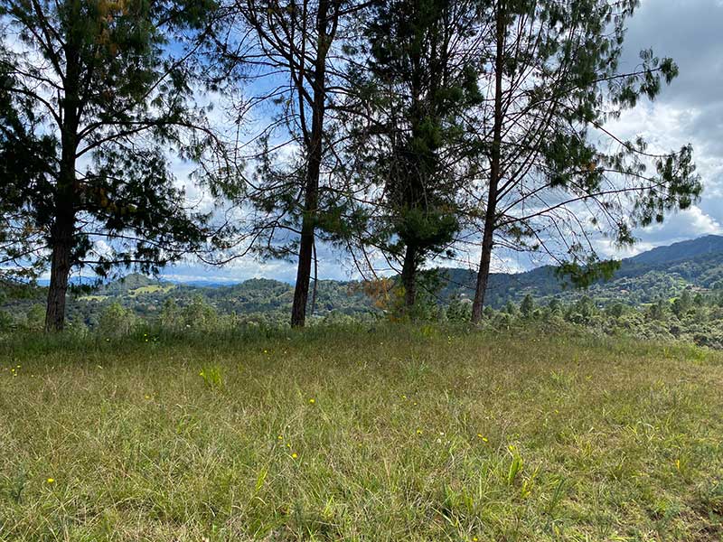 lote en condominio campestre el escobero