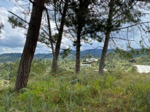 venta de lotes campestres escobero