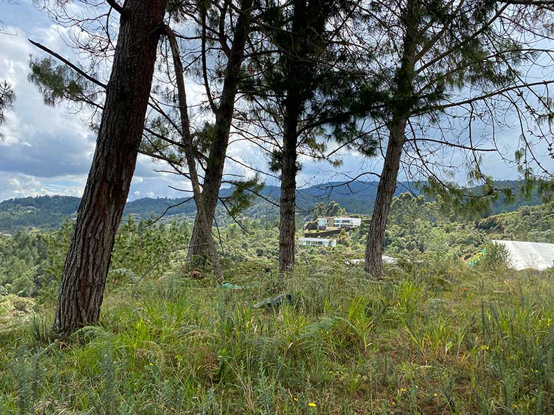 venta de lotes campestres escobero