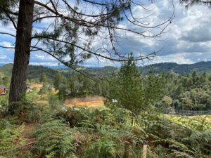 venta de terrenos campestres escobero