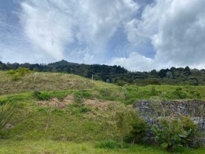 lote en los Balsos