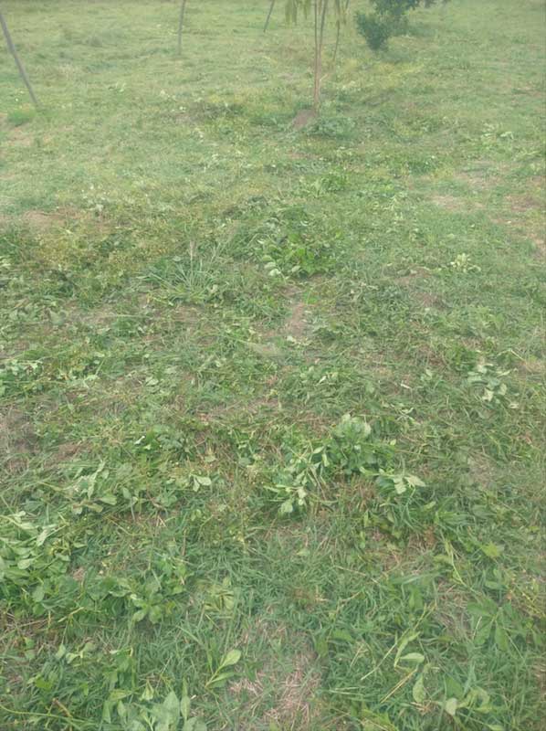 Lote Campestre en Santa Fe De Antioquia