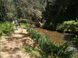 LOTE-CAMPESTRE-CASCADA-3