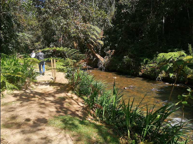 LOTE-CAMPESTRE-CASCADA-3