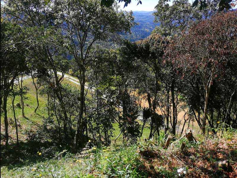 Lote Campestre en Las Palmas