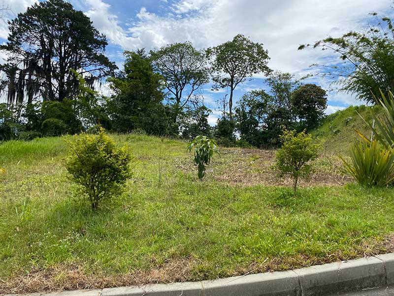 Lotes campestres en los balsos