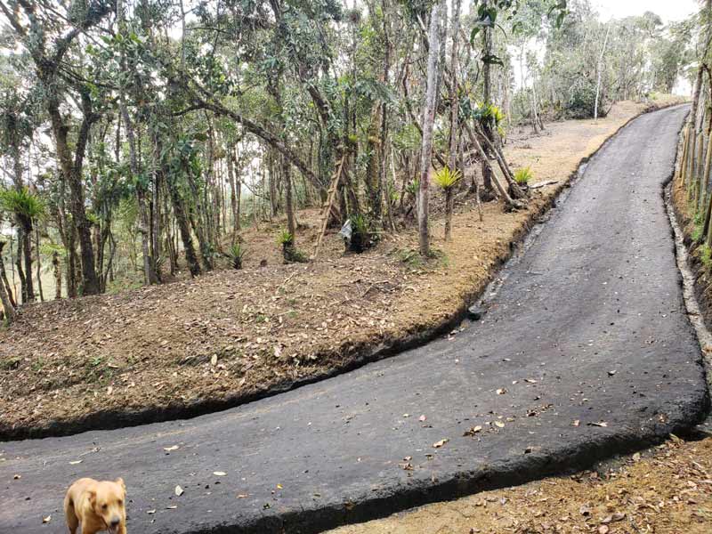 EL-BOSQUE-5