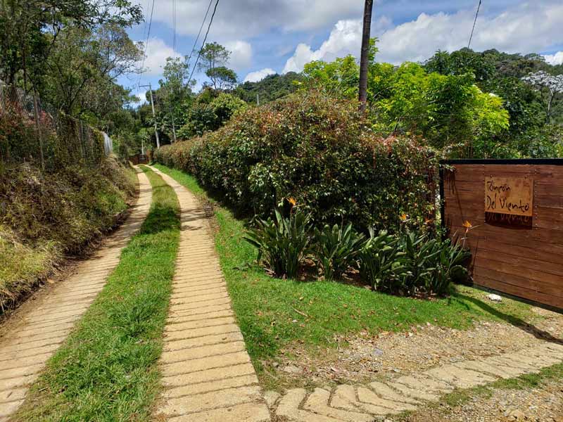 EL-BOSQUE-8