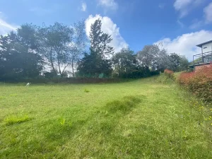 lote alto de palmas la esperanza