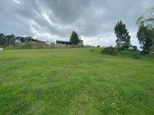 lote por la acuarela