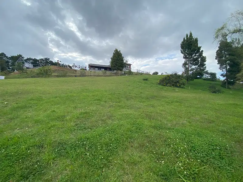 lote por la acuarela
