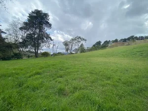 lote campestre por la acuarela