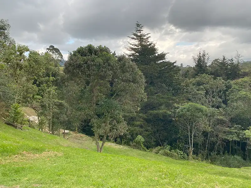 lote campestre en el alto de palmas